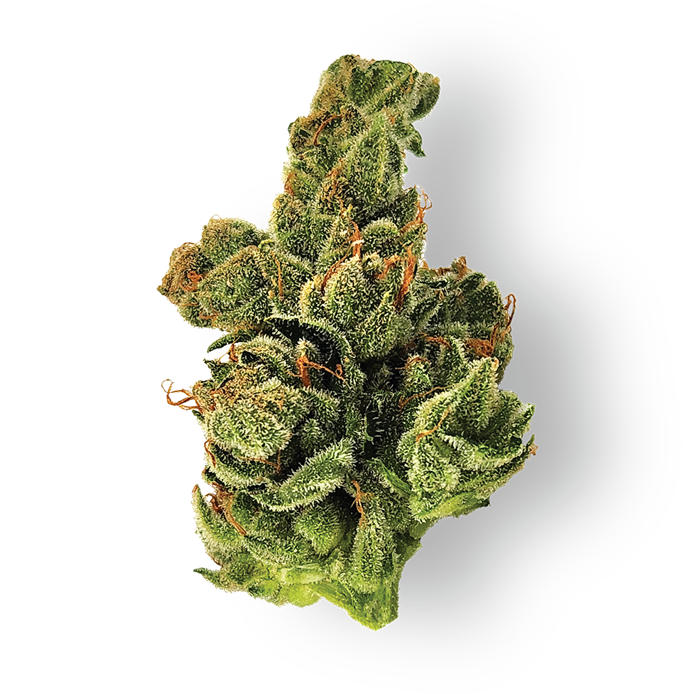 Dogwalker OG Weed Strain Dogwalker OG Marijuana Strain For Sale In Europe Online