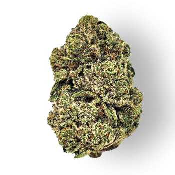 Order Jokerz Candy Marijuana Strain In Europe Online