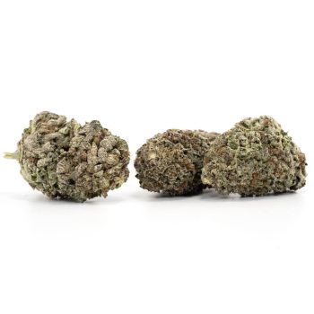 Buy Blackwater OG In Europe Online