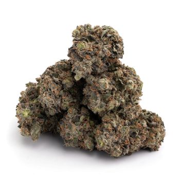 Buy Bubba Kush Marijuana Strain in Europe Online.