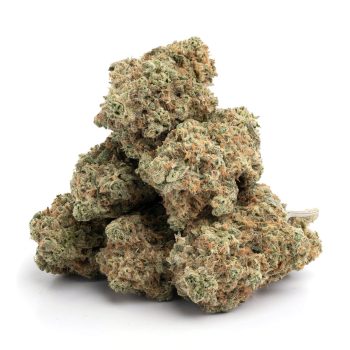 Order Girl Scout Cookies Marijuana Strain In Europe Online