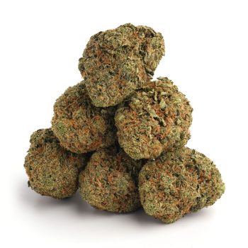 Buy Master Kush Marijuana Strain in Europe Online