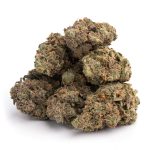 Purple Haze Marijuana Strain For Sale In Europe Online