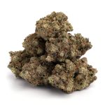 Purple Kush Marijuana Strain Purple Kush weed strain