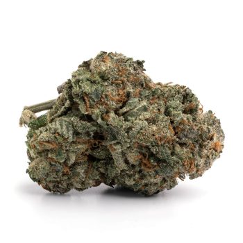 Order  SFV OG Marijuana Strain In Online