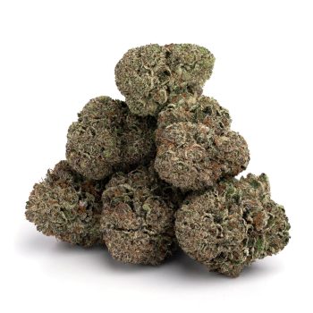 Buy Skywalker OG Marijuana Strain In Europe Online