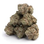 White Widow Marijuana Strain White Widow Weed Strain