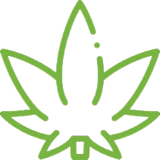 About Us cannabis 2 removebg preview